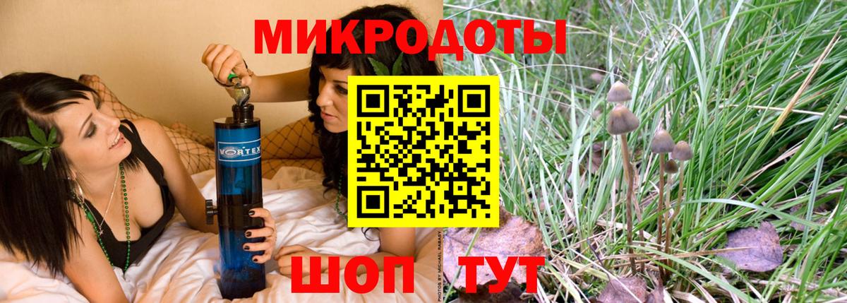 Псилоцибиновые грибы мухоморы Салехард
