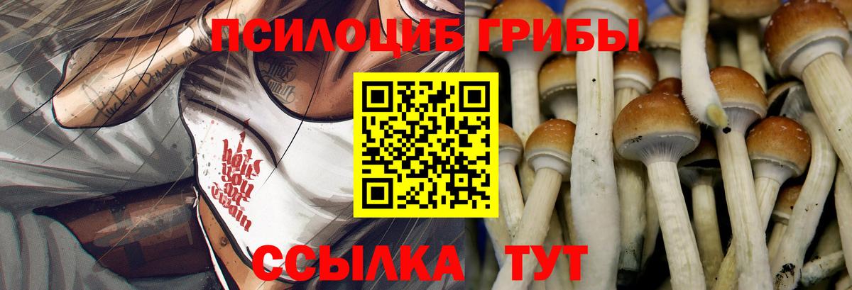 Салехард  Псилоцибиновые грибы Psilocybine cubensis  Вход с VPN  где купить наркотик  Псилоцибиновые грибы Psilocybe 